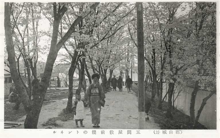 zn1457-Koriyama Castle Cherry Tree 五間屋敷前桜のトンネル 郡山城址
