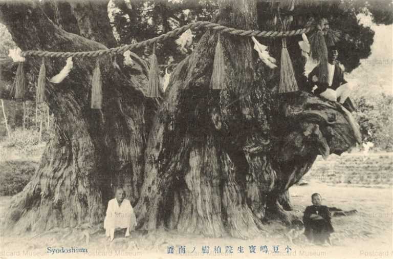 xk680-Syodoshima 小豆嶋寶生院柏樹ノ南面