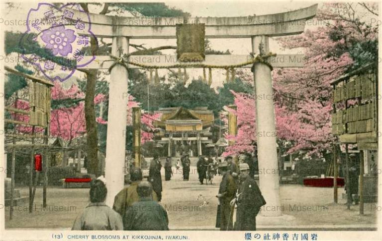 cm1234-Cherry Blossoms Kikkoujinjya Iwakuni 岩国吉香神社の櫻 (13)