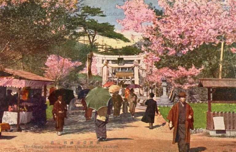 cm1236-Yoshika-Shrine Iwakuni 岩国吉香神社の櫻