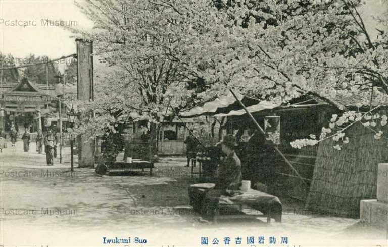 cm1242-Iwakuni Suo 周防岩国吉香公園