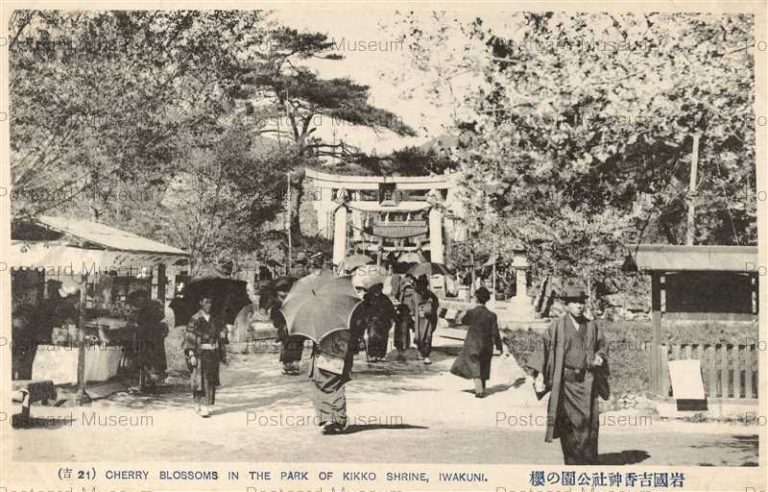 cm1248-Kikko Shrine Iwakuni 岩国吉香神社公園の櫻