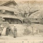 石割桜 油彩画・油絵 ei112-Ishiwarisakura-Morioka-
