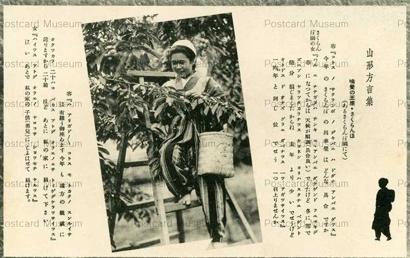 Ey331 Dialect Word Yamagata 山形方言集 味覺の王座 さくらんぼ 山形 絵葉書資料館 Ey331 Dialect Word Yamagata 山形方言集 味覺の王座 さくらんぼ 山形 絵葉書資料館