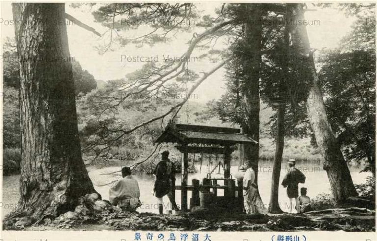 ey382-Onuma Ukisima Yamagata 大沼浮島の奇景 山形縣