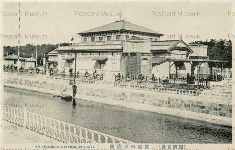 fuw635-Hakosaki Aquarium Fukuoka 箱崎の水族館 福岡百景