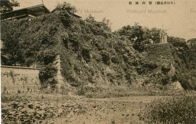fuw891-Sasayama ruin castel 篠山城趾 久留米 | 絵葉書資料館