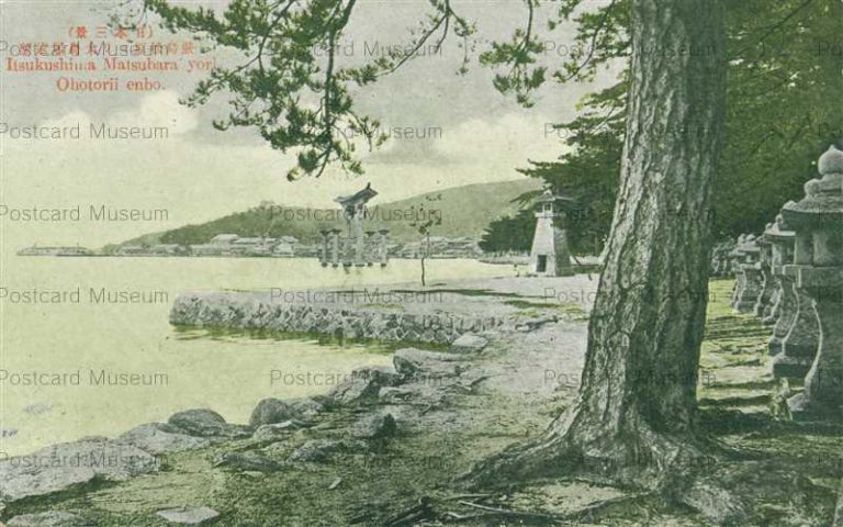 hi1626-Itsukushima Hiroshima 巖島松原ヨリ大鳥居遠望 広島