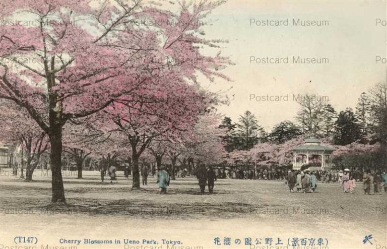 ta570-Ueno Park Tokyo.T147 上野公園 東京