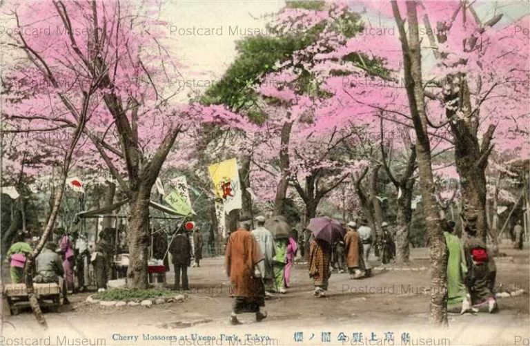 ta580-Cherry Blossom at Uyeno Park Tokyo 東京上野公園の桜