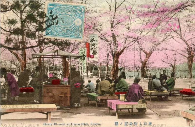 ta585-Cherry Blossom at Uyeno Park Tokyo 東京上野公園の桜