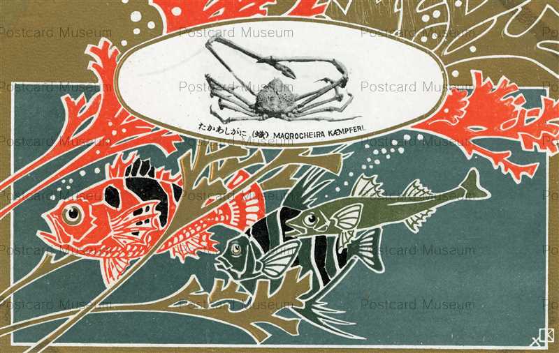 tac680-Ueno Park 上野公園教育水族館発行4枚 | 絵葉書資料館