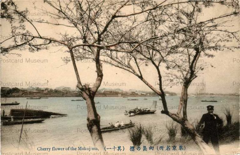 tf004-Cherry Flower of the Mukojima 向島の桜 其十一 東京名所