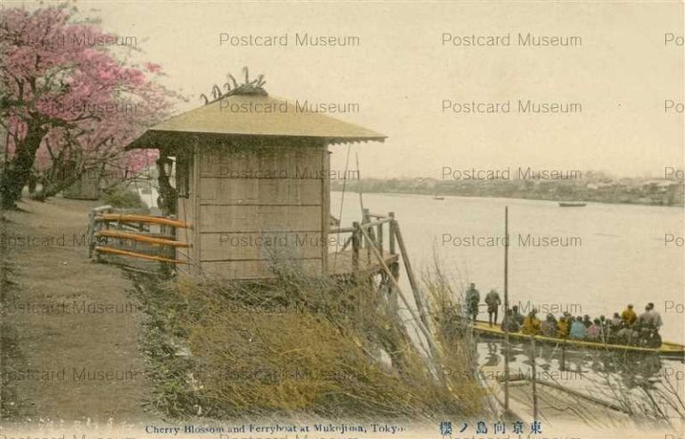 tf010-Cherry Blossom and Ferryboat at Mukojima Tokyo 東京向島ノ桜