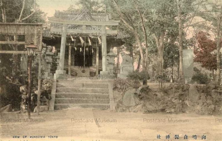 向島・隅田川 | 絵葉書資料館