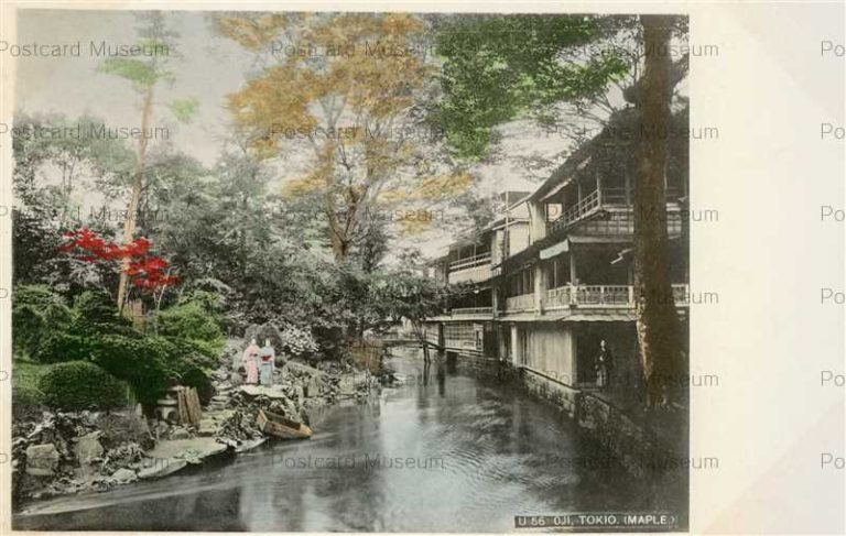 tf175-Oji Maple Tokyo 王子 東京