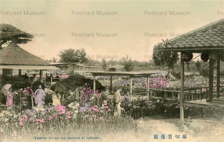 tf195-Iris Garden Horikiri 堀切菖蒲園