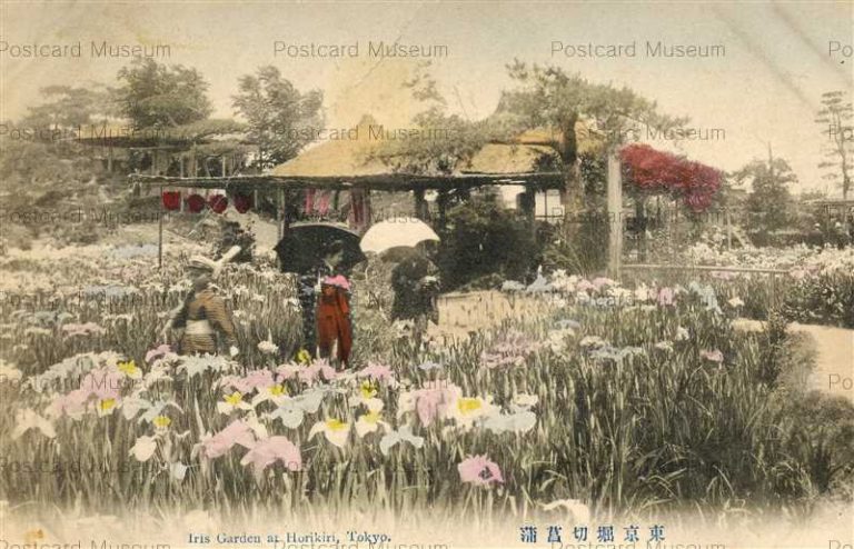 tf197-Iris Garden Horikiri 東京堀切菖蒲