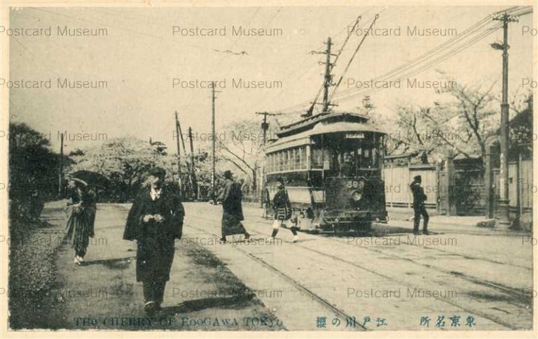 tfb130-The Cherry of Edogawa Tokyo 江戸川の桜 東京名所