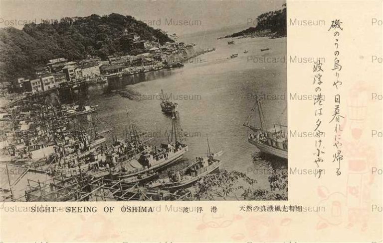 tfb1300-Habu Port Oshima 波浮港 大島