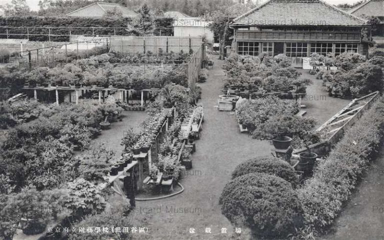 tfb450-Tokyo Horticultural School 東京府立園芸学校 世田谷 盆栽置場