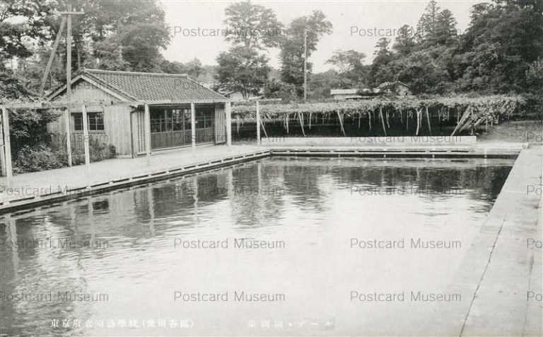 tfb454-Tokyo Horticultural School 東京府立園芸学校 世田谷 果樹園 プール