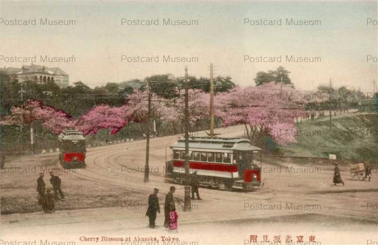 tk315-Cherry Blossom at Akasaka Tokyo 東京赤坂見附