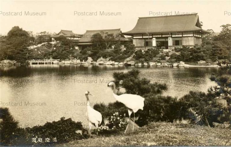 tkb842-Kiyosumi Park 清澄庭園 鶴 江東