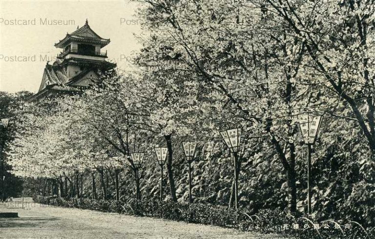 xc230-Kochi Park 高知公園櫻花