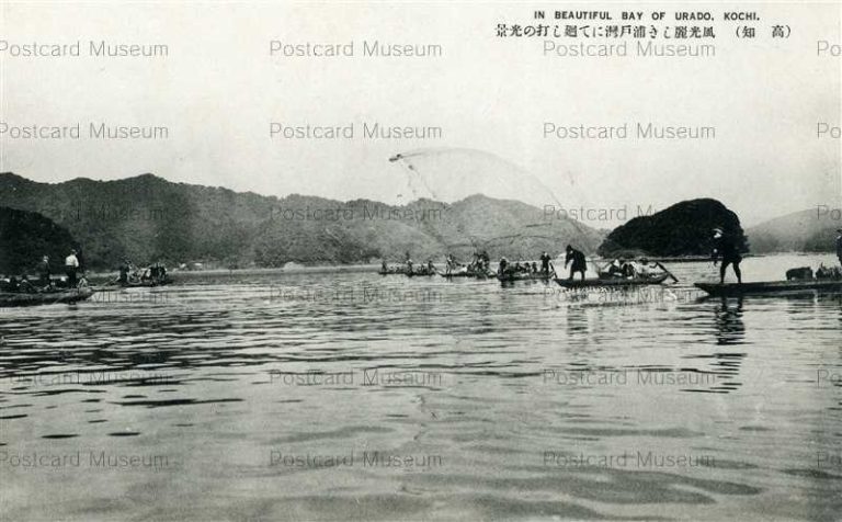 xc355-Urado Bay 風光麗しき浦戸湾にて廻し打の光景 高知