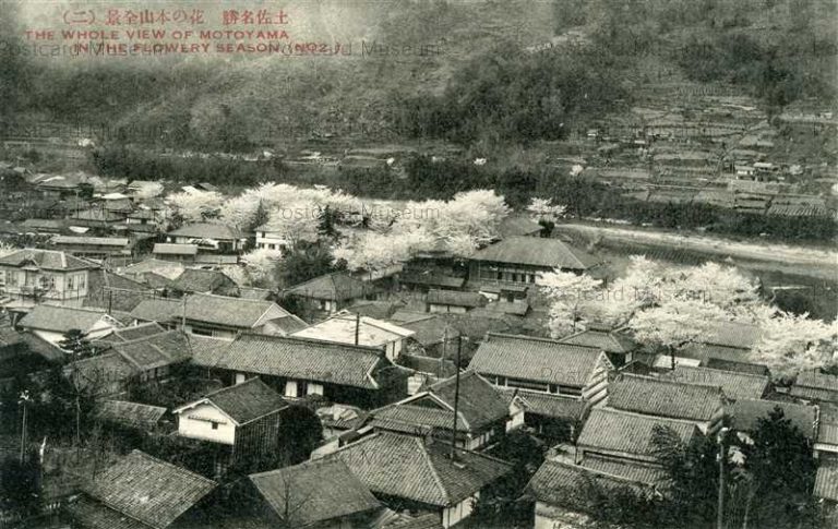 高知 ページ 3 絵葉書資料館