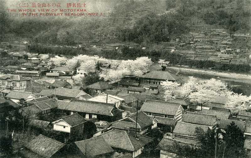 Xc6 Motoyama Flower Season Tosa 花の本山全景二 土佐名勝 絵葉書資料館