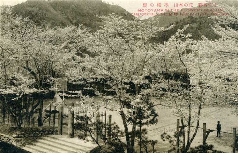 高知 ページ 3 絵葉書資料館