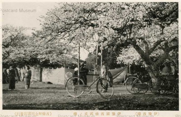 xe1135-Iyo Saijo Sakura 伊豫國西條武丈ノ櫻
