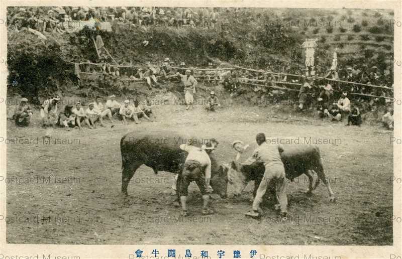 素敵な 宇和島 Bullfight xe1458-Uwajima 闘牛 絵葉書資料館 | 絵葉書