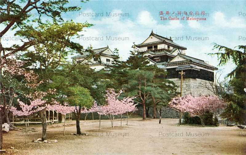Xe243 Matsuyama Castle 松山金亀城ノ勇姿 絵葉書資料館