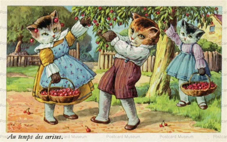 acc355-Dressed cat fantasy Cherry rip crop picking original old 1930s