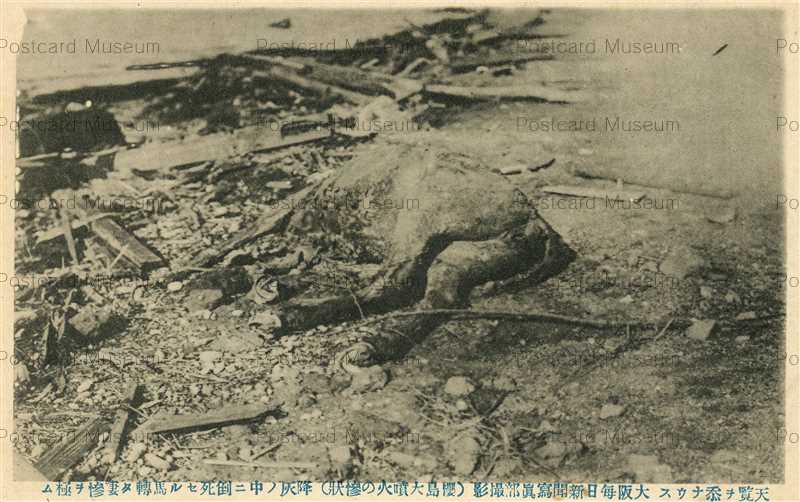 戦時中の写真　読売焼付版　昭和18年発行　55枚＋絵葉書 kag980-Large Eruption Sakurajima 桜島大噴火の惨状 大阪毎日新聞撮影