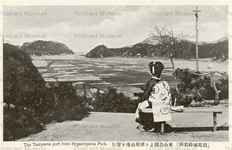 knc620-Tsuiyama Port from Higashiyama 東山公園より津居山港望む 城崎名所