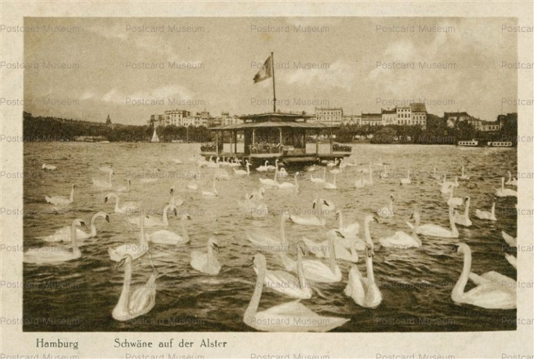 eug131-Hamburg Schwane auf der Alster