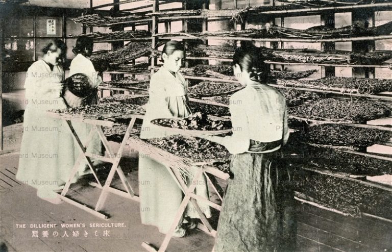 ghf512-The Dilligent Women's Sericulture 床しき婦人の養蠶