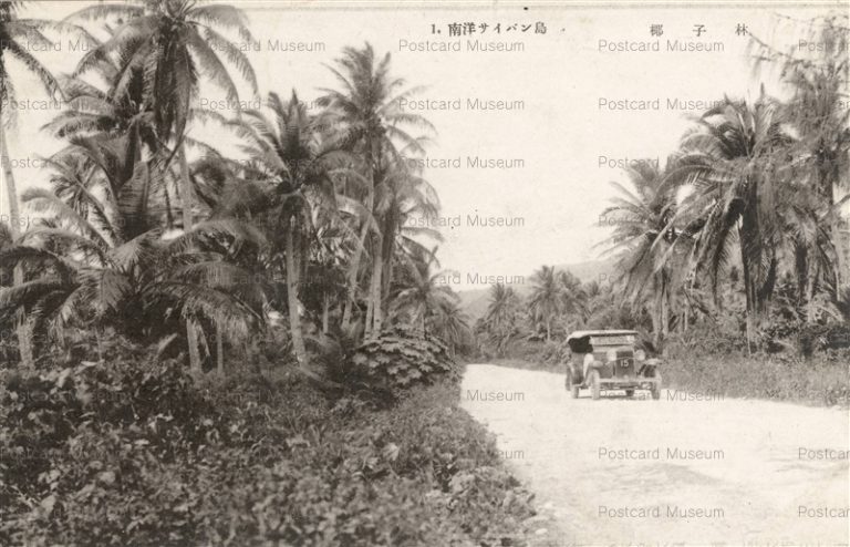 mal432-南洋サイパン島 椰子林
