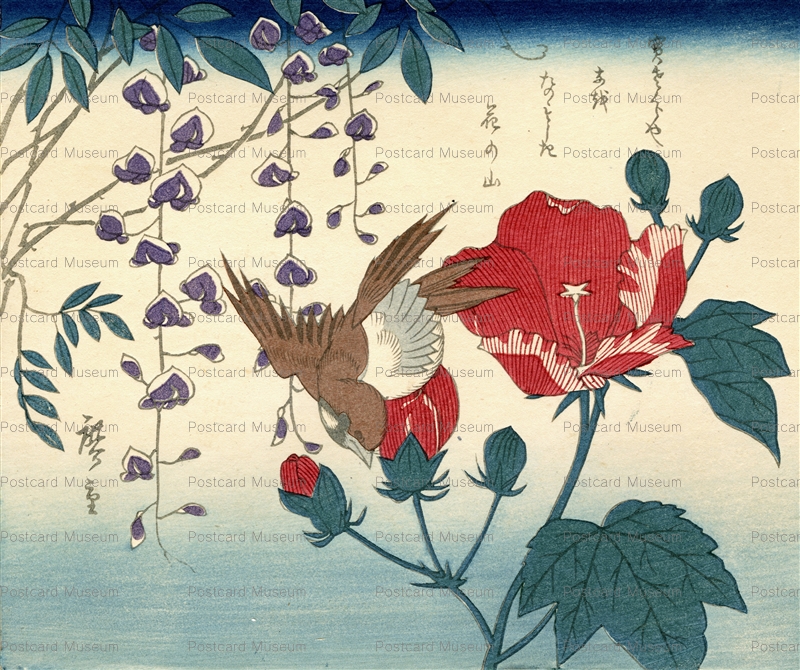 Ukt035 廣重 雀 藤 芥子の花 絵葉書資料館 Ukt035 廣重 雀 藤 芥子の花 絵葉書資料館