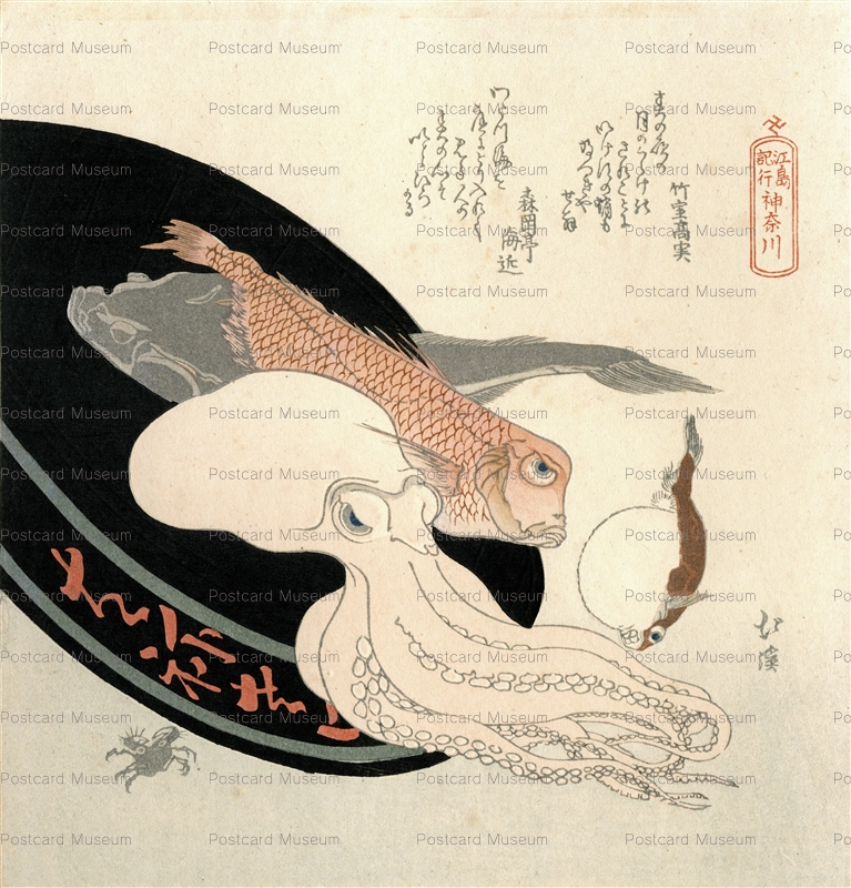 ukt050-魚屋北溪 蛸 鯛 江島紀行神奈川 | 絵葉書資料館