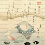 ukt060-魚屋北溪-貝つくし-