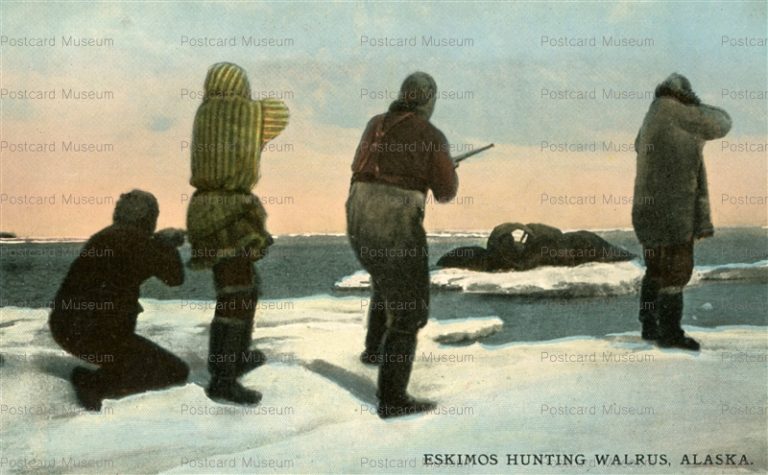 usa1224-Eskimos Hunting Walrus Alaska