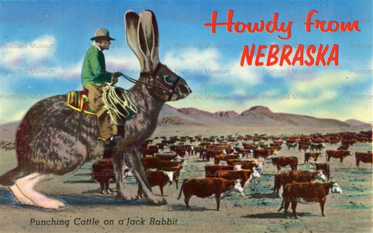 usa1890-Howdy from Nebraska Punching Cattle on a Jack Rabbit