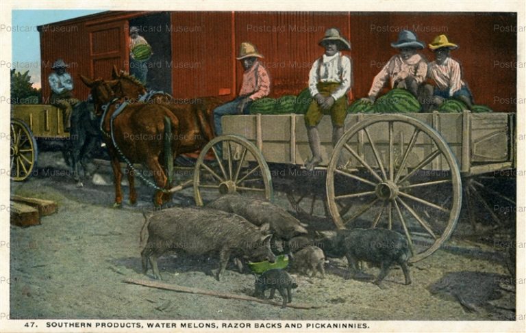 usa834-Southern Products Water Melons Razor Backs Pickaninnies